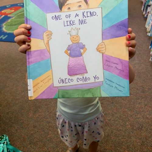Chicago Library